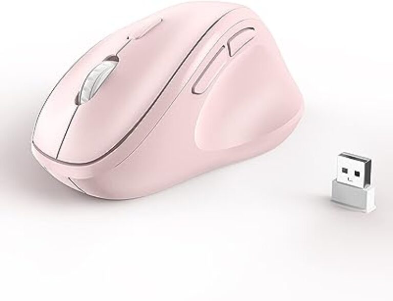 Ergo Wireless Mouse