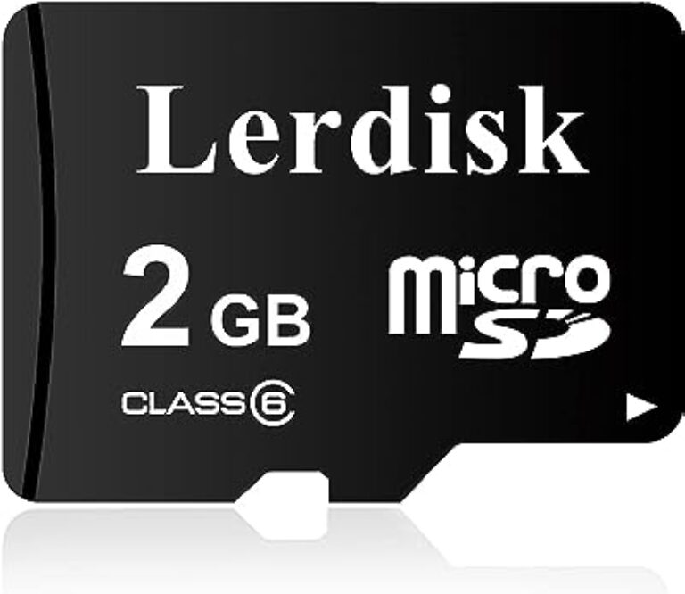 Lerdisk Micro SD Card 2GB Class 6