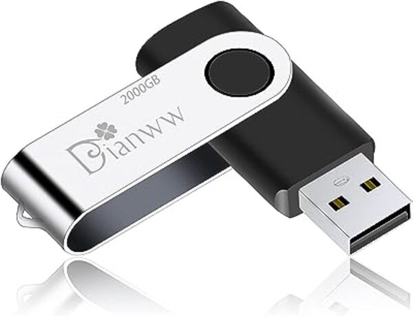 Dianww USB Flash Drive 2000gb