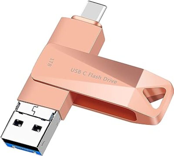 WANSISEN USB C Flash Drive 1TB Pink