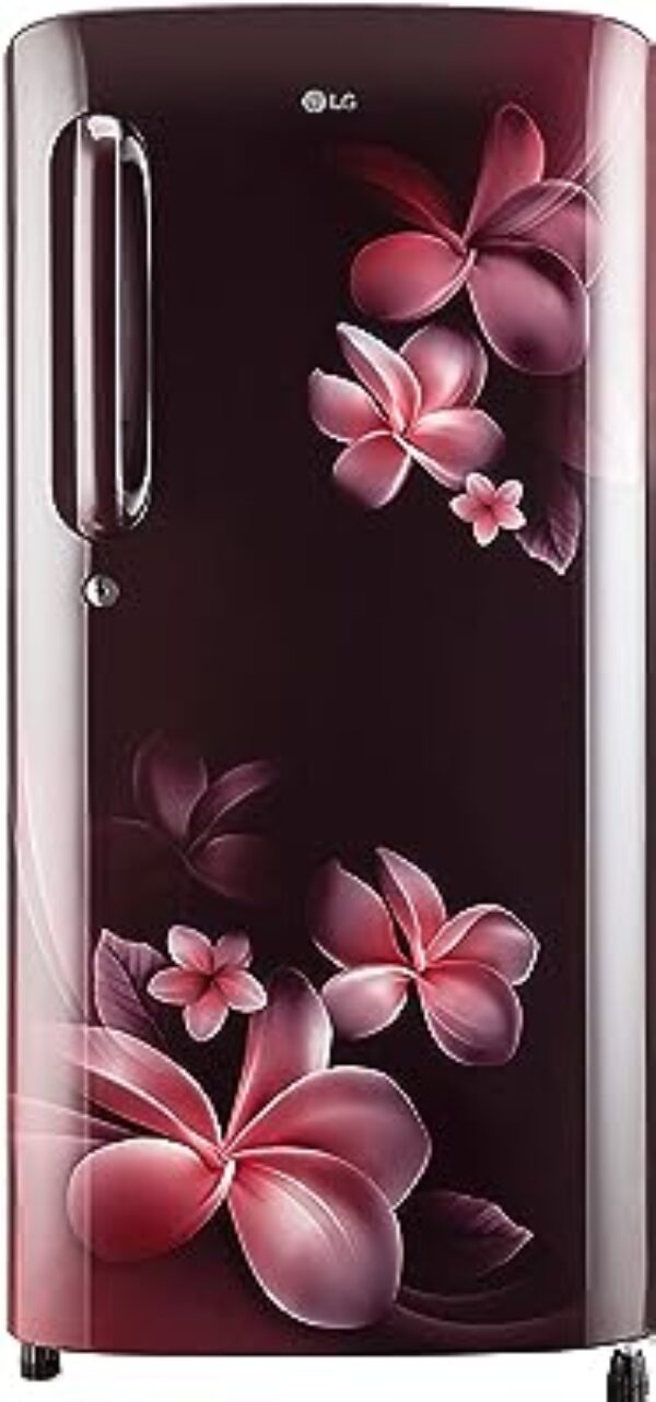 LG Single Door Refrigerator Scarlet Plumeria
