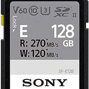 Sony SF-E128 Memory Card