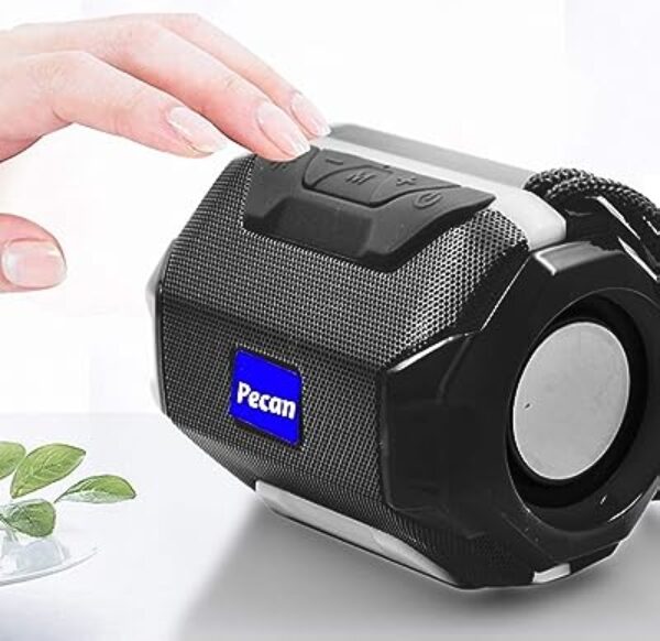 Pecan Portable Bluetooth Speaker 5W Black