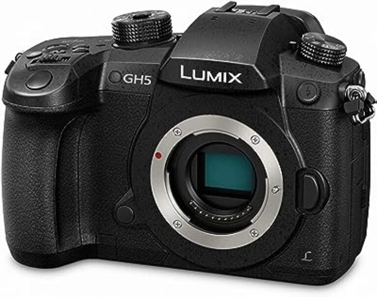 Panasonic Lumix GH5 Mirrorless Camera (Black)