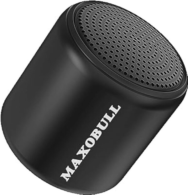 MAXOBULL InPods 3 Wireless Speaker (Black)
