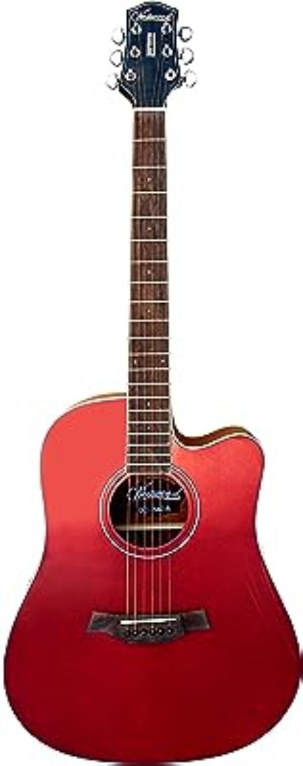 Westwood DC-340 R Acoustic Guitar Retro