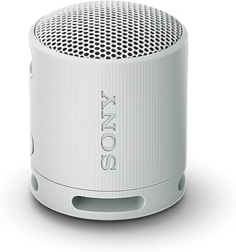 Sony SRS-XB100 Portable Bluetooth Speaker - Gray