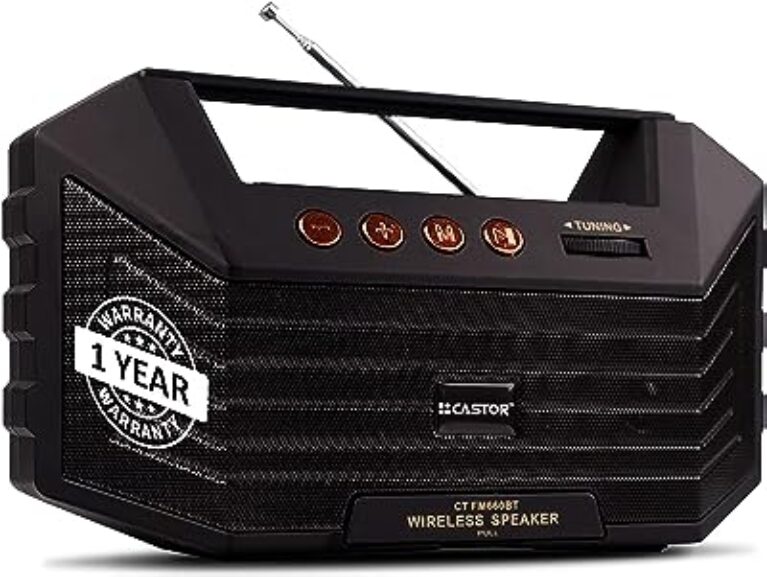 iBELL FM660BT Portable FM Radio