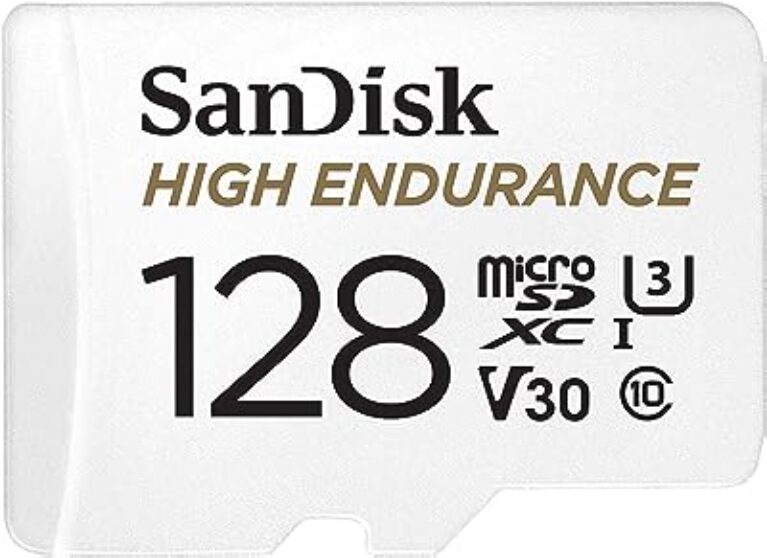 SanDisk 128GB High Endurance Video MicroSDXC