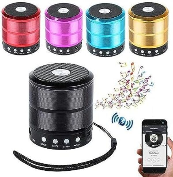 WS-887 Bluetooth Outdoor Speaker (Mix Colour)
