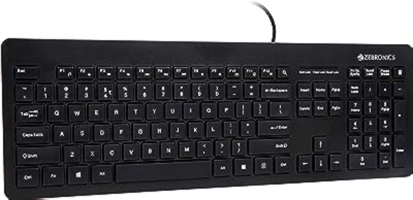 Zebronics ZEB-K4000M USB Wired Keyboard