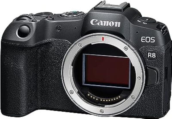 Canon EOS R8 Mirrorless Camera (Black)