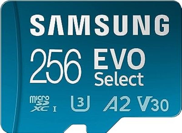 Samsung EVO Select Plus 256GB microSDXC