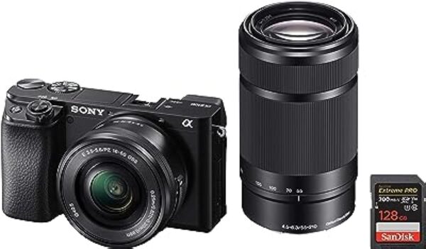 Sony ILCE-6100Y Mirrorless Camera with 16-50mm and 55-210mm Lenses